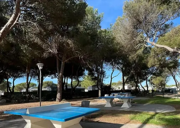 Grand 313, 6 Personnes, Siblu Le Des Reves