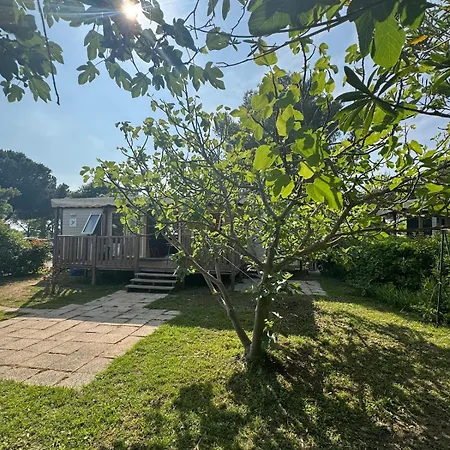 Grand 313, 6 Personnes, Siblu Le Des Reves Feriehus *